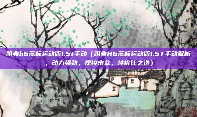 哈弗h6蓝标运动版1.5t手动（哈弗H6蓝标运动版1.5T手动解析，动力强劲，操控出众，性价比之选）