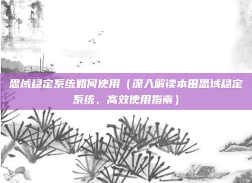 思域稳定系统如何使用(深入解读本田思域稳定系统,高效使用指南)