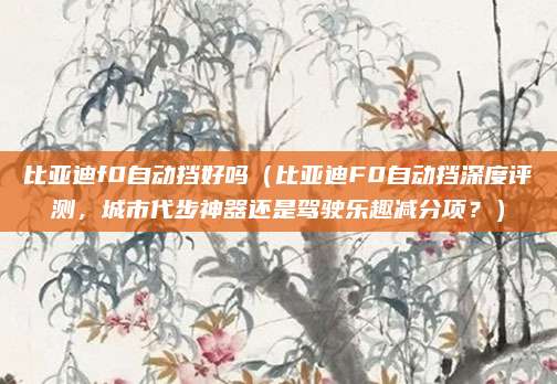 比亚迪f0自动挡好吗(比亚迪F0自动挡深度评测,城市代步神器还是驾驶乐趣减分项?)