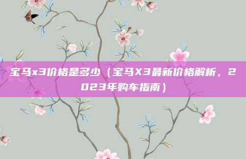 宝马x3价格是多少(宝马X3最新价格解析,2023年购车指南)
