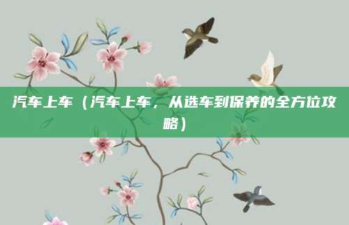 汽车上车(汽车上车,从选车到保养的全方位攻略)
