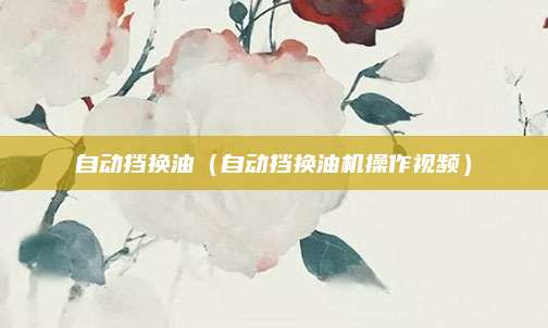 自动挡换油(自动挡换油机操作视频)