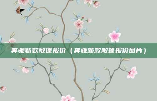 奔驰新款敞篷报价(奔驰新款敞篷报价图片)