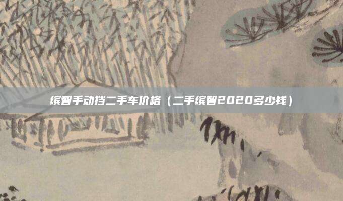 缤智手动挡二手车价格（二手缤智2020多少钱）