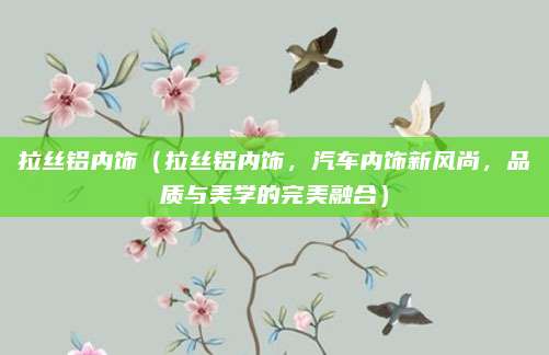 拉丝铝内饰（拉丝铝内饰，汽车内饰新风尚，品质与美学的完美融合）