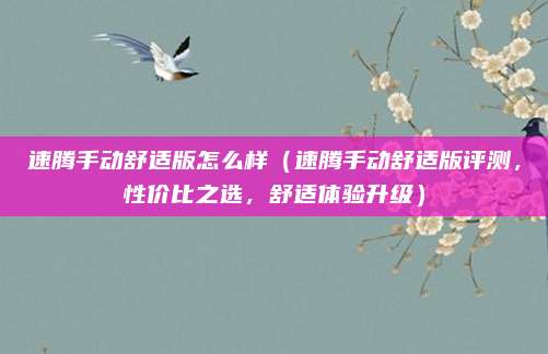 速腾手动舒适版怎么样（速腾手动舒适版评测，性价比之选，舒适体验升级）