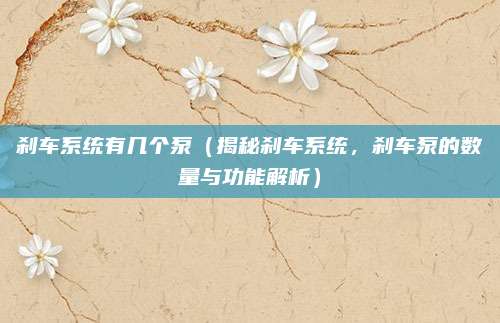 刹车系统有几个泵(揭秘刹车系统,刹车泵的数量与功能解析)