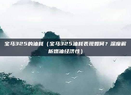 宝马325的油耗（宝马325油耗表现如何？深度解析燃油经济性）