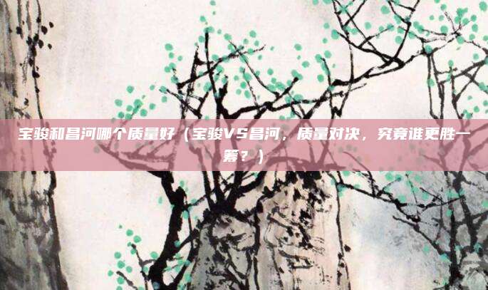 宝骏和昌河哪个质量好（宝骏VS昌河，质量对决，究竟谁更胜一筹？）