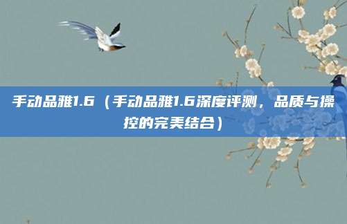 手动品雅1.6(手动品雅1.6深度评测,品质与操控的完美结合)
