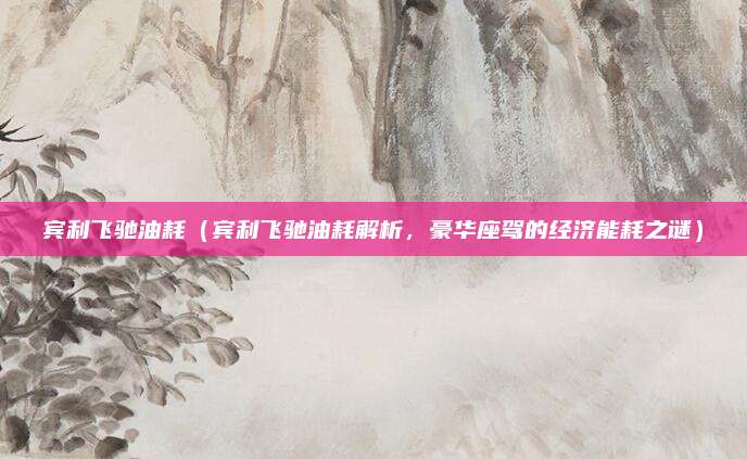 宾利飞驰油耗(宾利飞驰油耗解析,豪华座驾的经济能耗之谜)