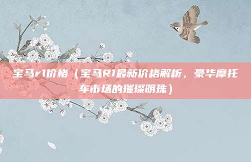 宝马r1价格（宝马R1最新价格解析，豪华摩托车市场的璀璨明珠）