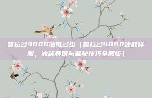 普拉多4000油耗多少(普拉多4000油耗详解,油耗表现与驾驶技巧全解析)