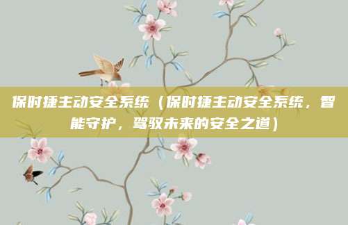保时捷主动安全系统（保时捷主动安全系统，智能守护，驾驭未来的安全之道）