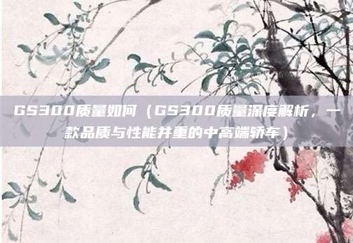 GS300质量如何(GS300质量深度解析,一款品质与性能并重的中高端轿车)