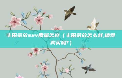 丰田荣放suv质量怎样(丰田荣放怎么样,值得购买吗?)