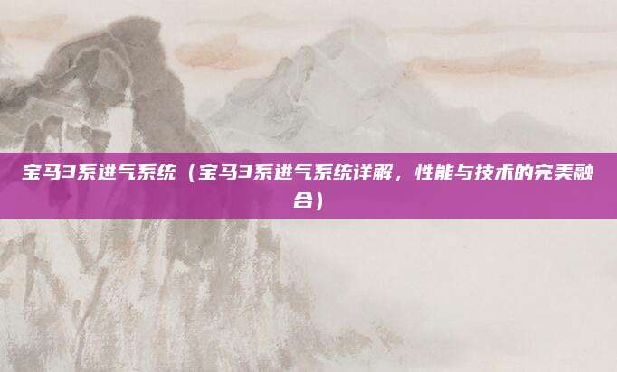 宝马3系进气系统(宝马3系进气系统详解,性能与技术的完美融合)
