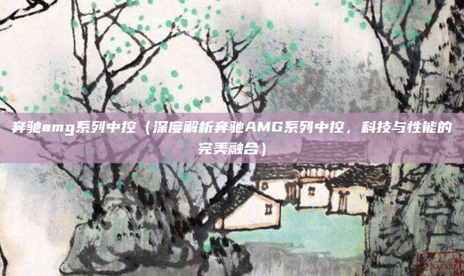 奔驰amg系列中控(深度解析奔驰AMG系列中控,科技与性能的完美融合)