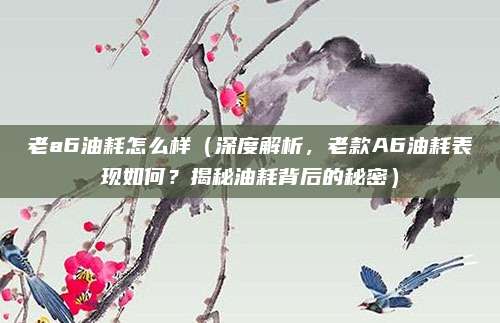 老a6油耗怎么样(深度解析,老款A6油耗表现如何?揭秘油耗背后的秘密)