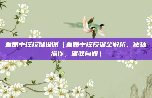 夏朗中控按键说明（夏朗中控按键全解析，便捷操作，驾驭自如）