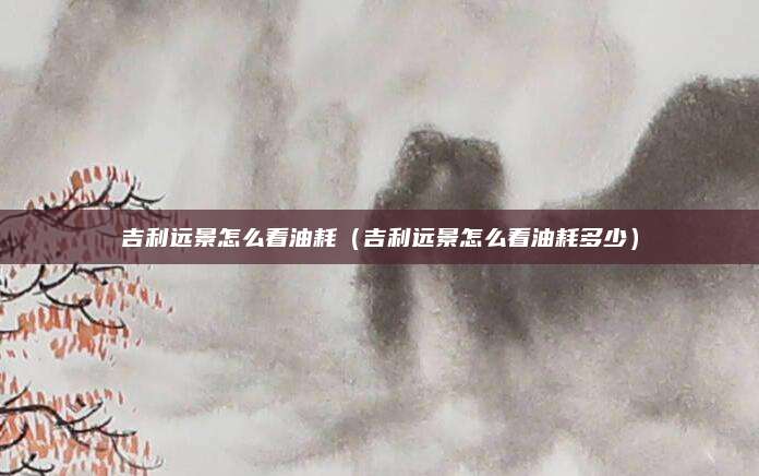 吉利远景怎么看油耗(吉利远景怎么看油耗多少)