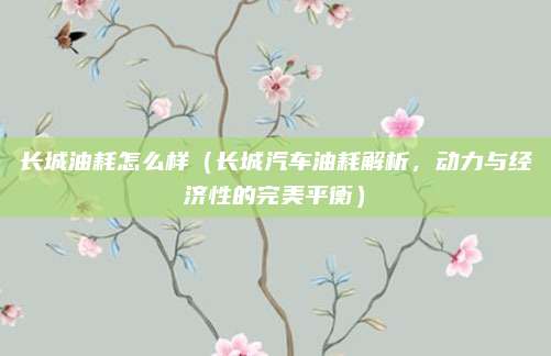 长城油耗怎么样（长城汽车油耗解析，动力与经济性的完美平衡）