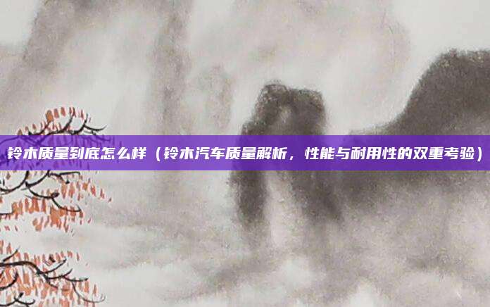 铃木质量到底怎么样（铃木汽车质量解析，性能与耐用性的双重考验）
