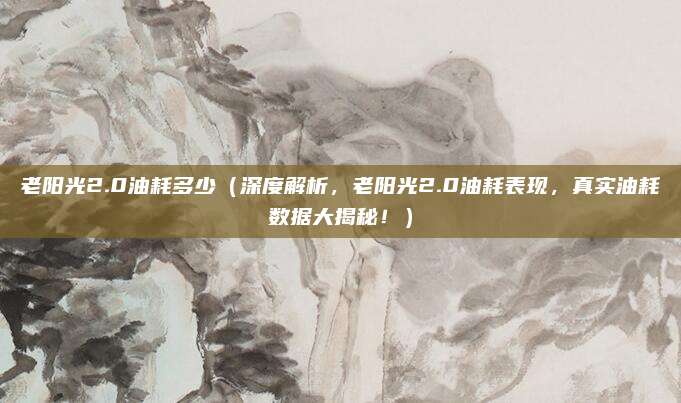 老阳光2.0油耗多少（深度解析，老阳光2.0油耗表现，真实油耗数据大揭秘！）