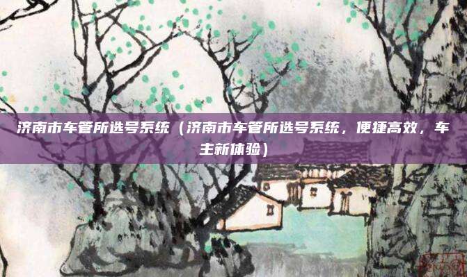 济南市车管所选号系统（济南市车管所选号系统，便捷高效，车主新体验）
