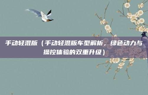 手动轻混版（手动轻混版车型解析，绿色动力与操控体验的双重升级）