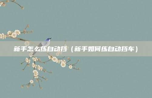 新手怎么练自动挡(新手如何练自动挡车)
