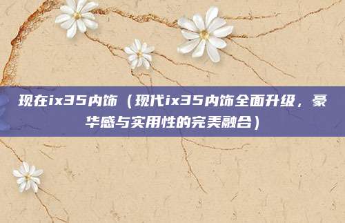 现在ix35内饰（现代ix35内饰全面升级，豪华感与实用性的完美融合）