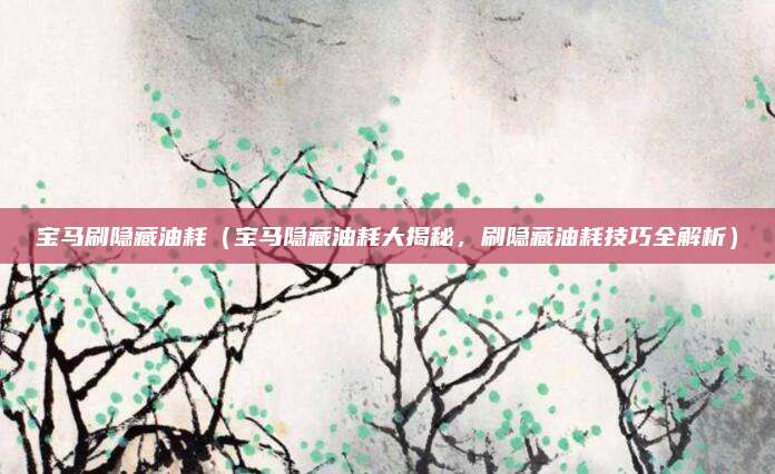 宝马刷隐藏油耗(宝马隐藏油耗大揭秘,刷隐藏油耗技巧全解析)