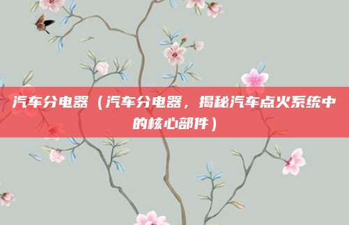 汽车分电器（汽车分电器，揭秘汽车点火系统中的核心部件）