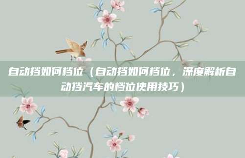 自动挡如何档位（自动挡如何档位，深度解析自动挡汽车的档位使用技巧）