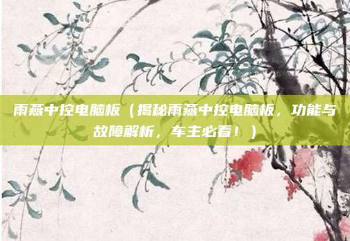 雨燕中控电脑板（揭秘雨燕中控电脑板，功能与故障解析，车主必看！）