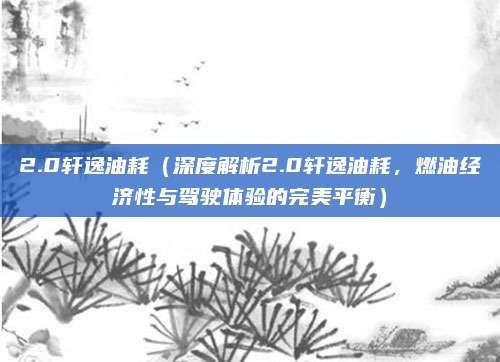 2.0轩逸油耗(深度解析2.0轩逸油耗,燃油经济性与驾驶体验的完美平衡)