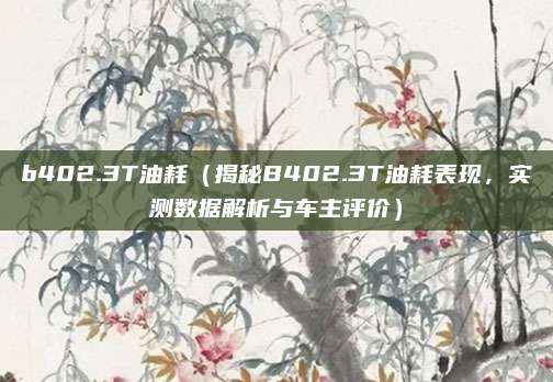 b402.3T油耗(揭秘B402.3T油耗表现,实测数据解析与车主评价)