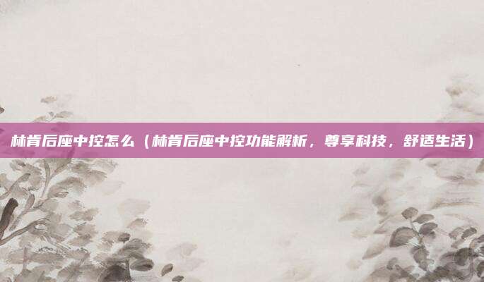 林肯后座中控怎么（林肯后座中控功能解析，尊享科技，舒适生活）