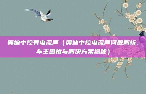 奥迪中控有电流声(奥迪中控电流声问题解析,车主困扰与解决方案揭秘)