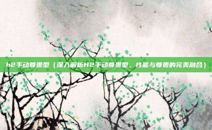 h2手动尊贵型（深入解析H2手动尊贵型，性能与尊贵的完美融合）