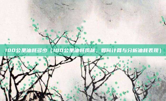 100公里油耗多少(100公里油耗揭秘,如何计算与分析油耗表现)