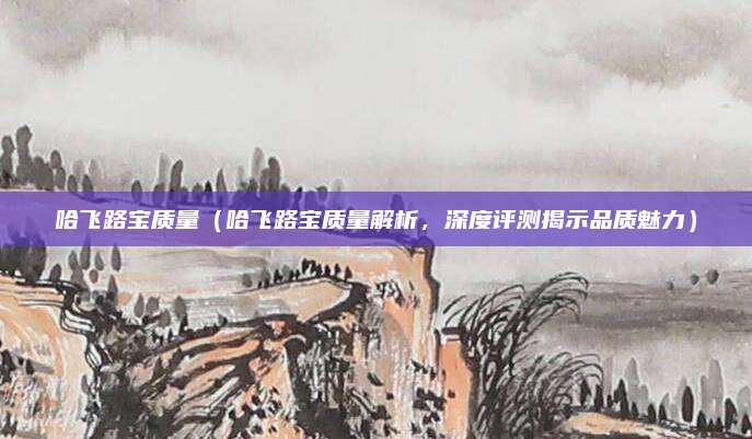 哈飞路宝质量（哈飞路宝质量解析，深度评测揭示品质魅力）