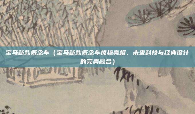 宝马新款概念车(宝马新款概念车惊艳亮相,未来科技与经典设计的完美融合)