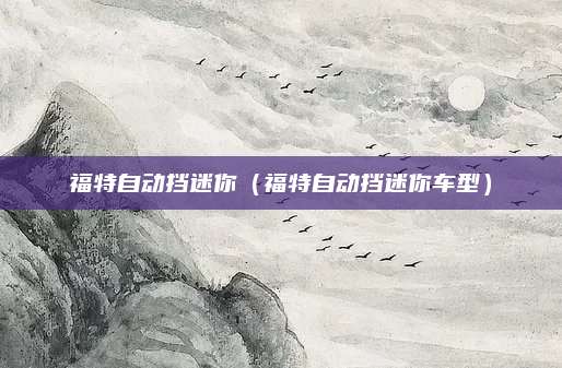 福特自动挡迷你（福特自动挡迷你车型）