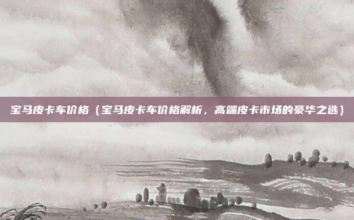 宝马皮卡车价格（宝马皮卡车价格解析，高端皮卡市场的豪华之选）