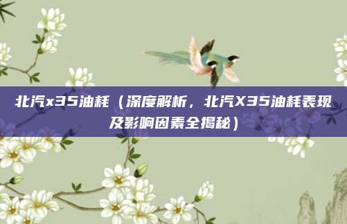 北汽x35油耗(深度解析,北汽X35油耗表现及影响因素全揭秘)