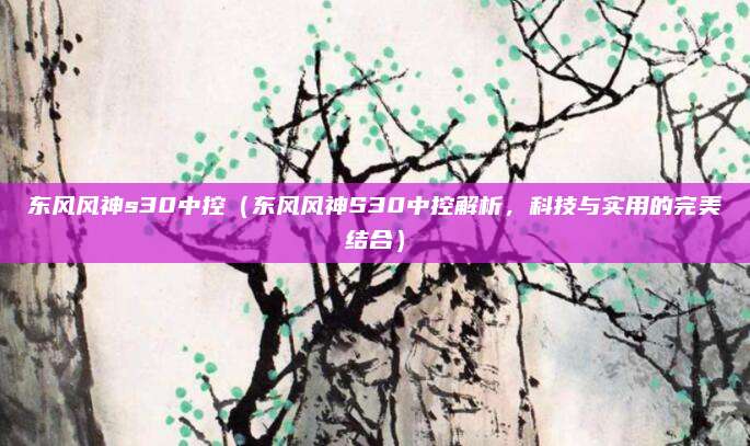 东风风神s30中控(东风风神S30中控解析,科技与实用的完美结合)