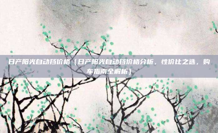 日产阳光自动挡价格(日产阳光自动挡价格分析,性价比之选,购车指南全解析)