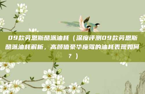 09款劳恩斯酷派油耗(深度评测09款劳恩斯酷派油耗解析,高颜值豪华座驾的油耗表现如何?)